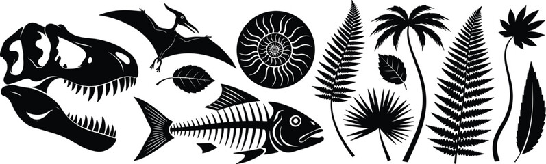 Prehistoric fossil collection with dinosaur skull pterodactyl ammonite fish skeleton and tropical fern leaves cad drawing flat vector illustration for science © MDMOHOBBAT