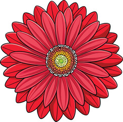 Vibrant red gerbera flower vector illustration
