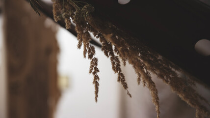 kłosy zboża zawieszone przy belce na skośnym suficie © Katarzyna