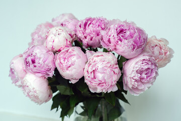 Soft pink peonies in a glass vase