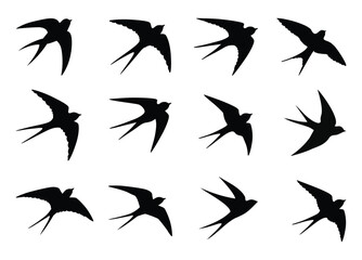 Obraz premium Swallow, martlet. Love letter birds with bows. Barn swallow flying, wings spread. Hirundo rustica on white background. Wildlife. Tattoo design set, wild animals, free
