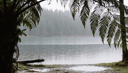 Fototapeta premium Beautiful perspective view between foreground elements opening up to a majestic water scenery