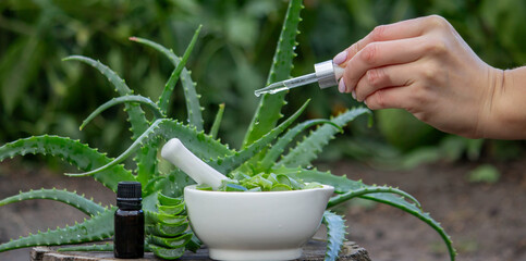 Female hand with a pipette adding oil to a mortar with aloe vera