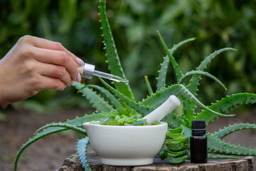 Female hand with a pipette adding oil to a mortar with aloe vera