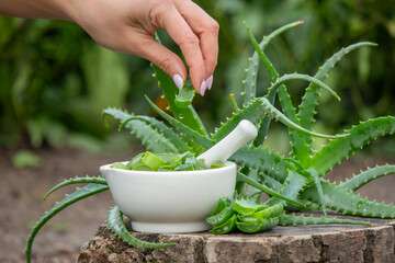 Process of making aloe vera mask in white mortar, eco-friendly cosmetics