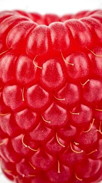 A captivating macro shot slowly zooms into the intricate surface of a single, vibrant red raspberry against a clean white background. The detailed close-up reveals the delicate individual drupelets an