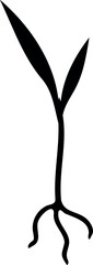 Fototapeta premium Black silhouette of sprout of a cereal plant with root isolated on white background
