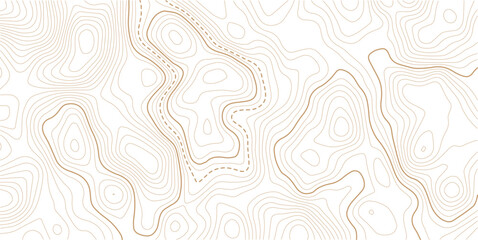Fototapeta premium Abstract topo contour map on white background,Topographic map Topographic contour lines map seamless pattern. Topography background. Vector banner. Topo.