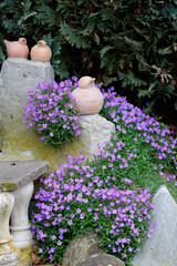Steinmauer mit deko und blauen bodendecker Pflanze