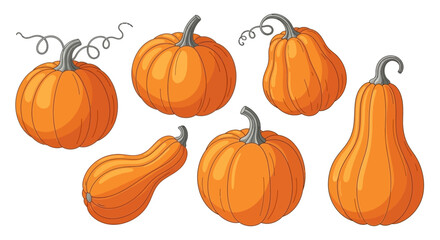 A collection of seven vibrant orange pumpkins of various shapes and sizes, some with curly stems, set against a white background. © Kinan