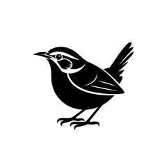 vector illustration of a bird