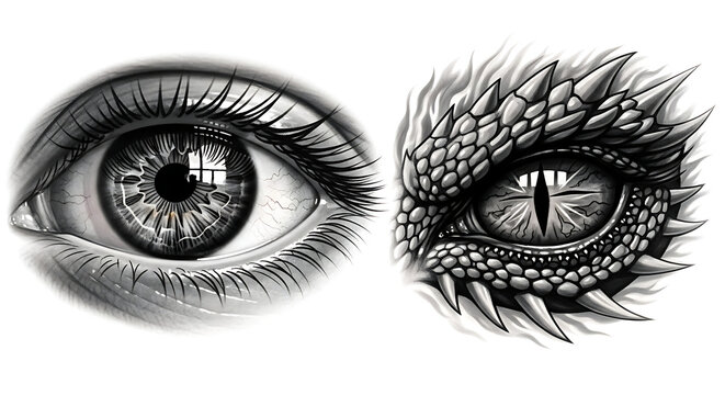 eye of the human and dragon white and black sketch design.