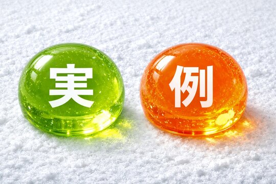 実例と事例を色分けした球体で直感的に違いを理解できる比較解説イメージ