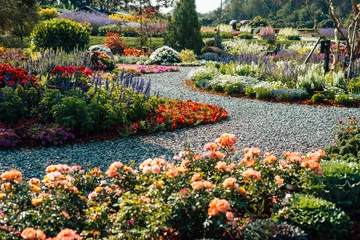 Canvas schilderij Tuin Spring flower gardens in the park and along the pathways in the late morning.  © artrachen