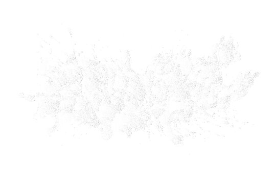 Abstract horizontal cloud silver glitter explosion with thick smoke effect and sparkling particles. png