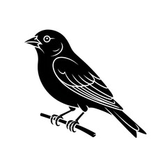 Fototapeta premium vector illustration of a bird