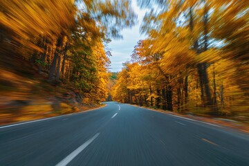 Autumn road rushes through vibrant golden forest