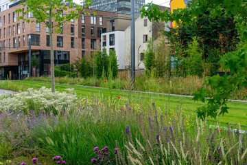 Modern Urban Landscape Design in Odense Denmark Featuring Sustainable Wildflower Meadows and Contemporary Brick Architecture