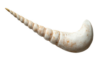 Fantasy Unicorn Horn Concept isolated on transparent background