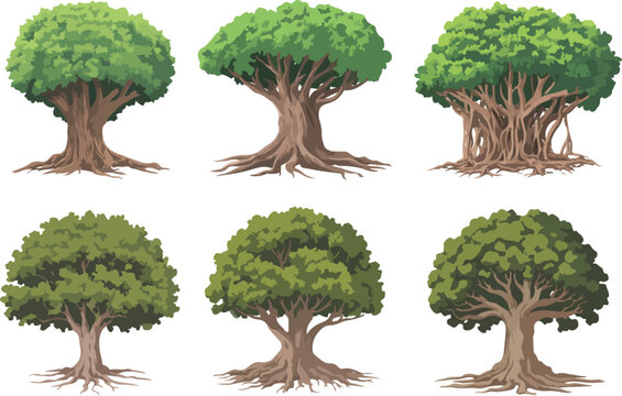 Banyan Tree Outline Manual Design Set  Hanging Roots and Lush Canopy