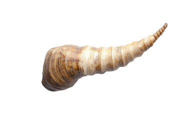 Unicorn Horn with Mystical Energy isolated on transparent background