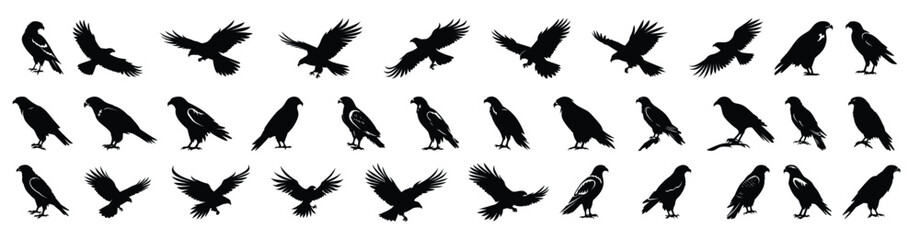 Obraz premium hawk silhouette clipart bundle