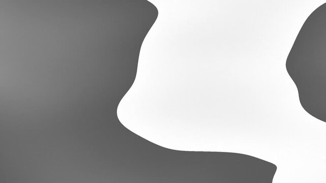 A smooth, abstract shape with a soft gradient against a light background