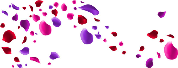 beautiful digital illustration of falling rose petals in vibrant shades of pink, deep red, and purple. The petals are elegantly scattered in a flowing motion