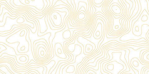 Topographic map background with geographic grid for hiking and mountain sport. luxury topographic wavy pattern and geographic grid map design. paper texture Imitation of a geographical map shades. © Abdur Rahman Safin 