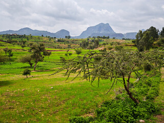 Landscape on the Tigray region, Ethiopia