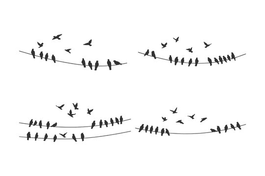 Bird Line Drawing Images – Browse 585,472 Stock Photos, Vectors, and ...
