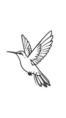 Obraz premium Line drawing of a hummingbird in flight. Simple black outline on a white background, wings spread, beak extended