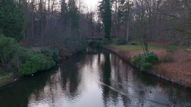 Low Drone Flight Over Forest Stream With Ducks, Belgium | FlyLens