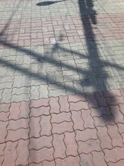 Electric pole shadow on the tile paved sidewalk