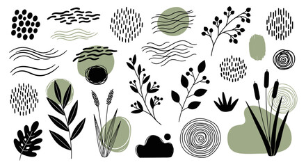 A collection of abstract organic shapes, botanical elements, and natural textures in a minimalist style. © TsuyuriTanae