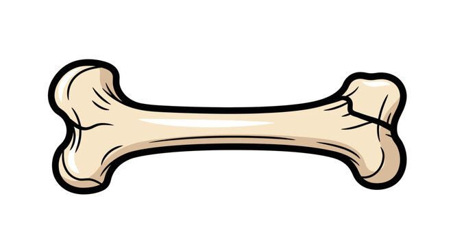 A cartoon illustration of a single, light-brown bone with a crack on the right end, isolated on a white background.