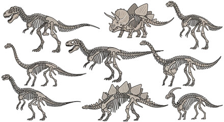 A collection of detailed skeletal illustrations of various dinosaur species, showcasing their anatomical structures. © Friska