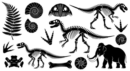 Collection of black and white illustrations depicting dinosaur skeletons, prehistoric mammals, fossils, and plant imprints. © Friska