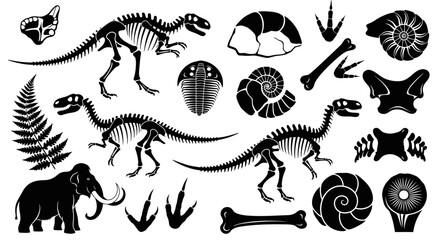 Collection of dinosaur skeletons, mammoth, fossils, trilobites, ammonites, and fern leaves, representing prehistoric life and paleontology. © Friska