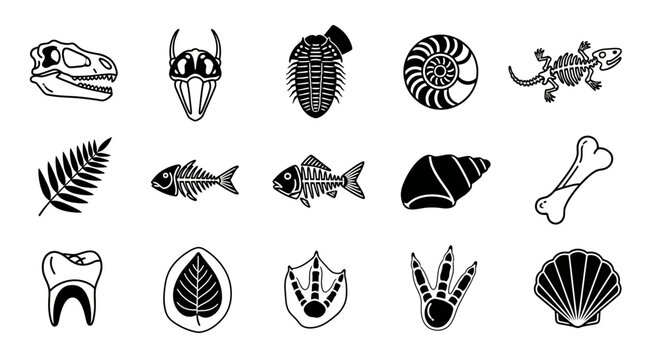 A collection of black and white illustrations of various fossils and prehistoric artifacts, including dinosaur skulls, fish skeletons, shells, and plant imprints.