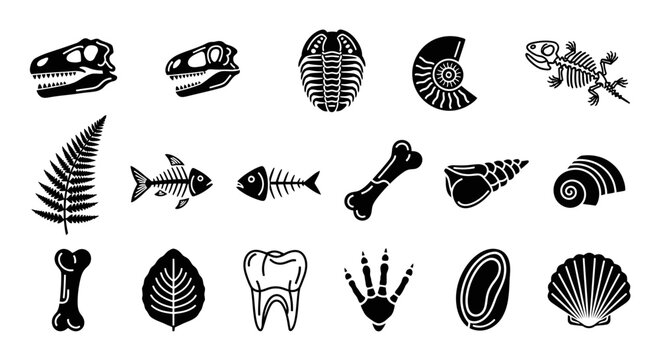 Collection of black and white icons representing various fossils and prehistoric elements, including dinosaur skulls, trilobites, ammonites, bones, teeth, and plant imprints.