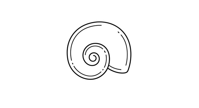 Detailed drawing of a snail shell.