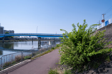川岸の茂みと青い橋が見える河川敷の散歩道