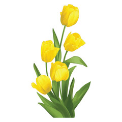Fototapeta premium Colorful Cartoon Flower Bouquet Illustration