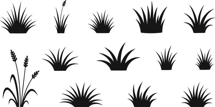 Black silhouette set of various grass tufts lawn patches and wild reeds for landscape design architectural visualization and nature border elements.