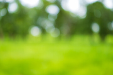Abstract blurred green nature park background with bokeh,Blurred background of a lush green park with trees and soft sunlight, creating a beautiful bokeh effect. Ideal for nature, ecology, or spring. © banjongseal324