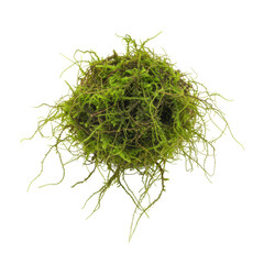 Moss ball