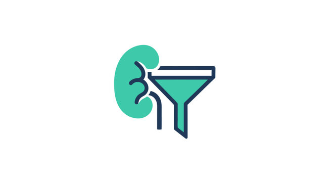 Kidney and ureter medical illustration.