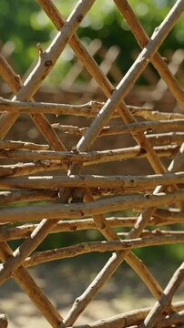 A detailed close-up of a rustic wooden lattice fence made from natural branches. The warm, sunny lighting creates an organic feel, perfect for themes 