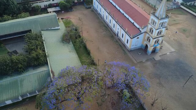 Jacaranda Trees in Bloom Beside Historic Church in Maputo, Mozambique